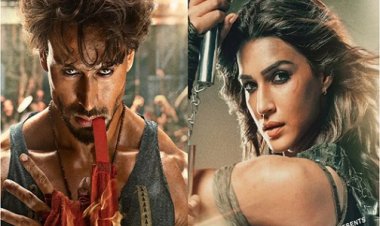 Bollywood News : टाइगर श्रॉफ और कृति सेनन की फिल्म गणपत ढ़ेर...