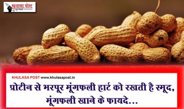 Health Benefits Peanut : प्रोटीन से भरपूर मूंगफली हार्ट को रखती है स्मूद, मूंगफली खाने के फायदे...