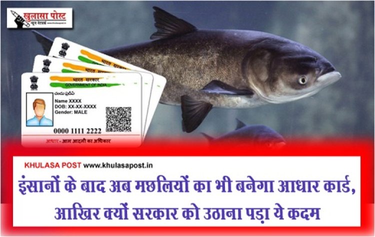 इंसानों के बाद अब मछलियों का भी बनेगा आधार कार्ड , आखिर क्यों सरकार को उठाना पड़ा ये कदम