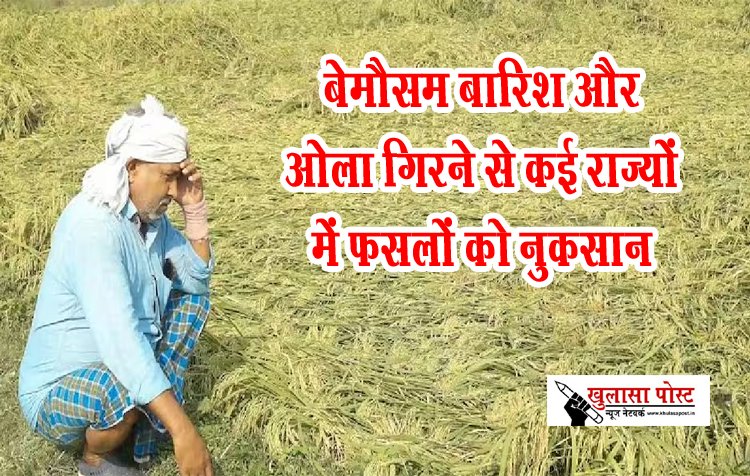 बेमौसम बारिश और ओला गिरने से कई राज्यों में फसलों को नुकसान