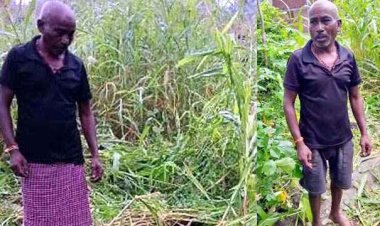 जंगल गए युवक पर तीन भालुओं ने किया हमला, सांस रोककर लेटने से बची जान, हालत नाजुक, दंतैल हाथी से बाल-बाल बची ग्रामीण की जान, 20 गांव में दहशत