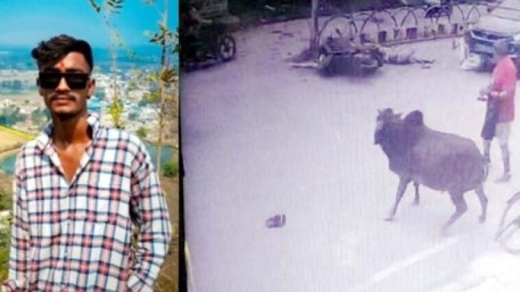 अनियंत्रित होकर डिवाइडर से टकराई स्कूटी, सड़क पर गिरे युवक को सामने से आ रही कार ने रौंदा, रक्षाबंधन पर बहन से मिलकर लौट रहे भाई की मौत