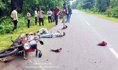 अज्ञात वाहन और बाइक की टक्कर में बहन को तीजा लेने आ रहे भाई और उसके दोस्त की मौत, 2 बाइक की भिड़ंत में युवक ने अस्पताल ले जाते वक्त तोड़ा दम