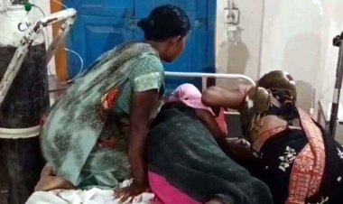 डॉक्टर दिन भर करते रहे पेट दर्द का इलाज, शाम को पता चला बच्ची को सांप ने काटा, बालिका की हालत नाजुक, जिम्मेदार कौन?