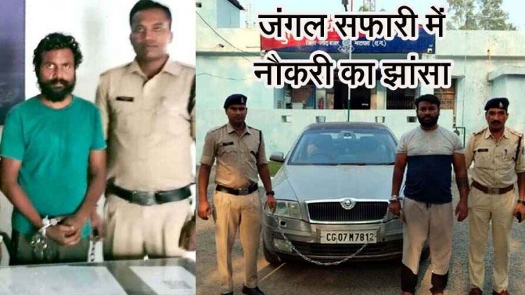 पीडब्ल्यूडी विभाग में फर्जी दस्तावेजों के जरिए धोखाधड़ी, मुख्य आरोपी पकड़ाया, जंगल सफारी में गार्ड की नौकरी दिलाने का झांसा, आरोपी गिरफ्तार