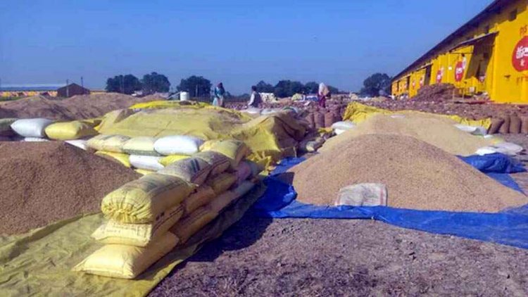 धान खरीदी केंद्र में चल रहा है मनमानी राज,किसान हो रहे परेशान, समितियों धान का उठाव नहीं होने पर 10 दिसंबर से धान की खरीदी पूरी तरह से बंद