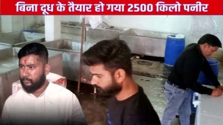 दूध की एक बूंद भी नहीं फिर भी तैयार हो गया 2500 किलो पनीर, बनाने की स्टाइल  देख अधिकारी भी हैरान, फैक्ट्री सीज, मचा हडकंप