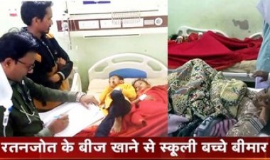 धमतरी में रतनजोत के बीज खाने से 9 स्कूली बच्चे बीमार, स्कूल से घर लौटने के बाद करने लगे उल्टी, अस्पताल में चल रहा इलाज, इलाके में मचा हड़कंप