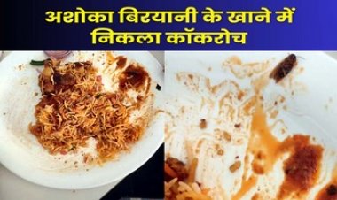 रायपुर के न्यू अशोका बिरयानी रेस्टोरेंट के खाने में मिला कॉकरोच, किचन में बासी मटन और चिकन, सोशल मीडिया जमकर हो रहा वायरल