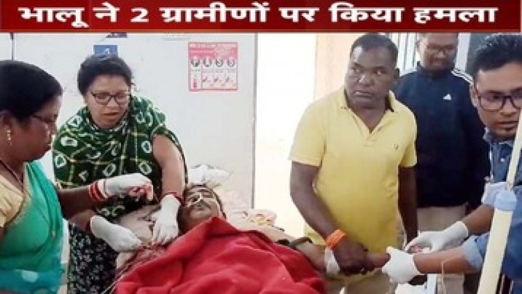 भालू के हमले से बाप-बेटे की मौत, दो की हालत नाजुक, वन विभाग की टीम और पत्रकार पर भी हमला, अस्पताल में भर्ती, इलाके में दहशत का माहौल