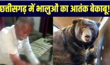 छत्तीसगढ़ में 5 भालुओं ने मचाया आतंक, घर में घुसकर ग्रामीण पर पंजे से किया हमला, बुजुर्ग जख्मी हालत में पहुंचा अस्पताल, इलाज जारी