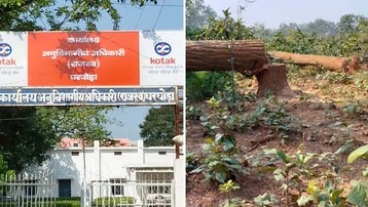 जंगलों की बलि देकर बारुद का जखीरा बनाने की तैयारी, ग्रामीणों के विरोध फिर भी SDM ने किया डायवर्सन, सांसद राधेश्याम राठिया की चुप्पी पर उठे सवाल