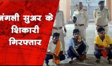 तीन अवैध शिकारी जंगली सूअर के शिकार करने बिछाया फंदा, में फंसे तीन जानवर, पुलिस ने 3 आरोपियों को गिरफ्तार कर भेजा जेल