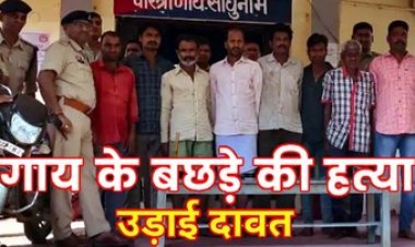 होली त्यौहार में गाय के बछड़े को क्रूरतापूर्वक वध कर सिर धड़ से किया अलग, खाया मांस, पुलिस ने किया आठ आरोपियों को किया गिरफ्तार