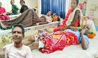 जंगली जानवरों का कहर जारी, भालू, तेंदुआ और जंगली सूअर के हमलों में महिला की मौत, तीन घायल; वन विभाग ने की मुआवजे का एलान