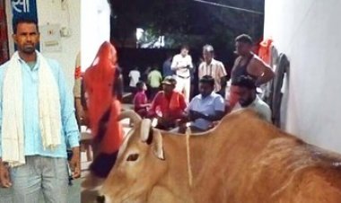 गायों को गाड़ी में भरकर बूचड़खाना ले जा रहे छत्तीसगढ़ के तीन तस्कर गौ तस्करी के आरोप में गिरफ्तार, इधर एक फरार आरोपी झारखंड से पकड़ाया