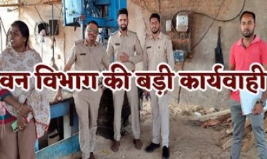 अभनपुर में वन विभाग का बड़ा एक्शन, महाराष्ट्र की लकड़ी की आढ़ में प्रतिबंधित अर्जुन लकड़ी काटने पर जप्ती की कार्रवाई, आरा मिल सील