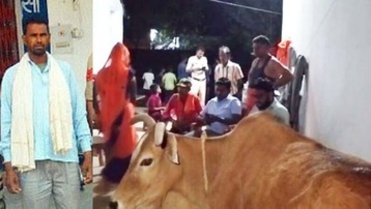 गायों को गाड़ी में भरकर बूचड़खाना ले जा रहे छत्तीसगढ़ के तीन तस्कर गौ तस्करी के आरोप में गिरफ्तार, इधर एक फरार आरोपी झारखंड से पकड़ाया