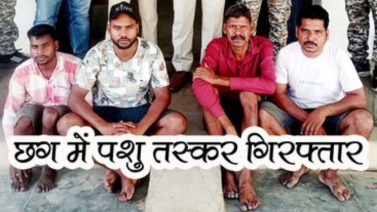 पशुओं को बूचड़खाना ले जा रहे पशु तस्करी के खिलाफ कार्यवाही, पुलिस ने जशपुर के चार तस्करों को रंगे हाथ गिरफ्तार कर भेजा जेल