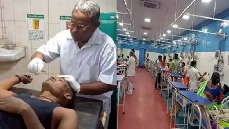 शादी घर फूड पॉइजनिंग, 40 से ज्यादा लोग बीमार, मधुमक्खी हमले में काला पड़ा युवक का चेहरा, मवेशी की मौत, दहशत का माहौल