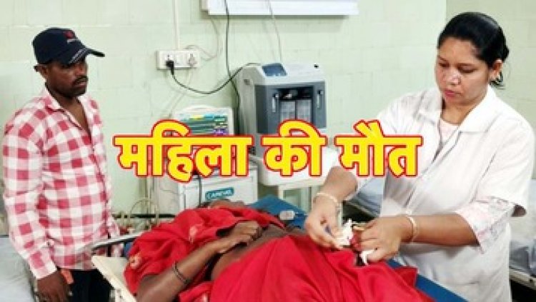 दर्दनाक सड़क हादसा, मजदूरी के लिए जा रही महिला को बस ने मारी टक्कर, मौके पर दर्दनाक मौत, ड्राइवर वाहन छोड़ हुआ फरार