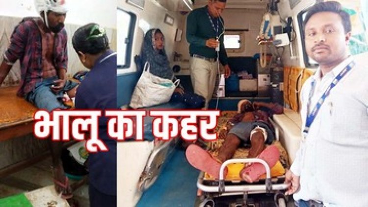 जंगल में भालू का जानलेवा हमला, तेंदूपत्ता बांधने रस्सी तोड़ने गए युवक की हालत नाजुक, रायपुर रेफर, वन विभाग ने किया सावधानी बरतने की अपील