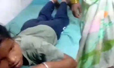 मनरेगा मजदूरों को मधुमक्खियों ने काटा, एक बच्ची समेत 28 लोगों की हालत नाजुक, मची अफरा-तफरी, घायलों का इलाज जारी