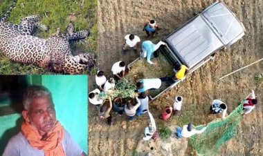 घायल तेंदुए ने खेत की बाड़ी में सो रहे किसान पर किया हमला, संघर्ष के बाद बचा ग्रामीण, रेस्क्यू के दौरान तेंदुआ की मौत