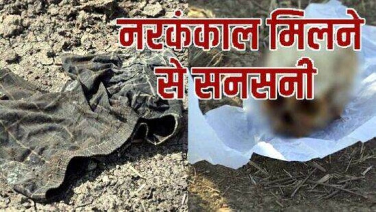 लापता मासूम बच्ची के मामले ने लिया डरावना मोड़, शमशान घाट के पास मिला नरकंकाल और कपड़े, नरबलि की आशंका से इलाके में फैली सनसनी