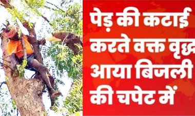नीम पेड़ की कटाई के दौरान करंट की चपेट में आने से बुजुर्ग की मौके पर ही मौत, परिवार में पसरा मातम, जांच में जुटी पुलिस