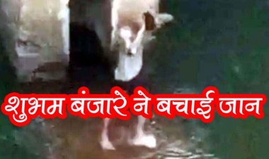 नशे में धुत युवक नहर में कूदा, मोबाइल से वीडियो बनाते रहे लोग, शुभम बंजारे ने बचाई जान, डेढ़ घंटे तक चला रेस्क्यू ऑपरेशन