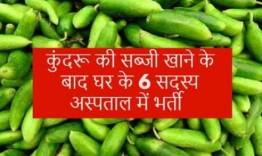 कुंदरु की सब्जी खाने के बाद बिगड़ी तबीयत, घर के 6 लोग बीमार, फूड पॉइजनिंग का शिकार होकर अस्पताल में भर्ती, मचा हड़कंप
