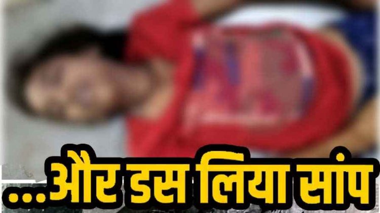 सोने के दौरान बालिका को सांप ने काटा, सर्पदंश से 14 वर्षीय बच्ची की मौत, परिवार में पसरा मातम, गांव में शोक का माहौल