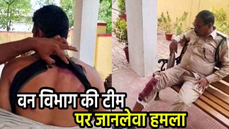 निरीक्षण करने पहुंची वन विभाग की टीम पर ग्रामीणों ने किया लाठी-डंडे से हमला, डिप्टी रेंजर समेत 4 कर्मी घायल, भागकर बचाई जान