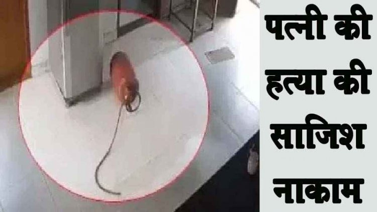 गैस सिलेंडर ब्लास्ट से पत्नी के मर्डर की साजिश नाकाम, पति की खौफनाक प्लानिंग बेनकाब, अस्पताल में भर्ती, जांच में जुटी पुलिस