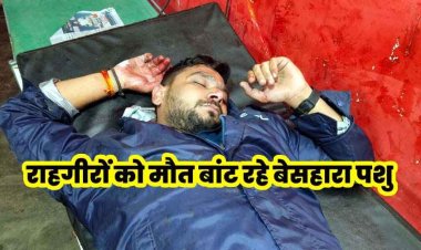 नेशनल हाईवे पर मवेशियों की वजह से फिर हादसा, कुत्ते को देख बिगड़ा बैलेंस, मवेशी से टकराई बाइक, युवक की मौत;, एक गंभीर घायल