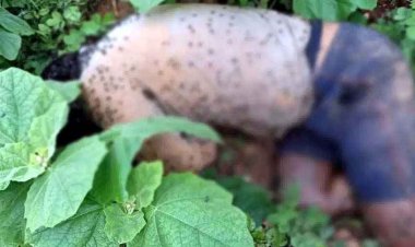 अभनपुर-धमतरी मार्ग पर सड़क किनारे संदिग्ध हालत में मिली लापता ड्राइवर की लाश, इलाके में फैली सनसनी, हत्या या हादसा? जांच में जुटी पुलिस