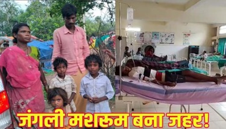 कबीरधाम में जहरीला मशरुम खाने के बाद एक ही परिवार के 4 लोग पड़े बीमार, मचा हड़कंप, सभी का अस्पताल में इलाज जारी