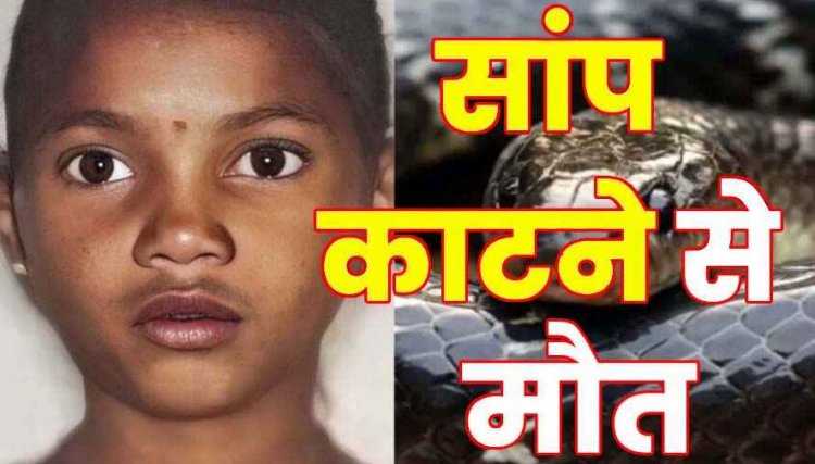 दादी के साथ बिस्तर पर सो रही 11 वर्षीय छात्रा की करैत सांप के काटने से इलाज के दौरान मौत, परिवार में पसरा मातम