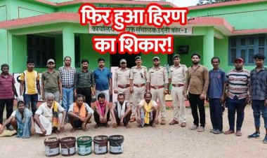 हिट एंड रन में हिरण शिकार के 6 आरोपी गिरफ्तार, 26.65 किलो मांस और औजार बरामद, अज्ञात वाहन और चालक की तलाश जारी