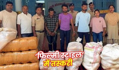 गरियाबंद पुलिस की बड़ी कार्रवाई, इनोवा से 196 किलो गांजा जब्त, युवती समेत 3 अंतर्राज्यीय तस्कर गिरफ्तार, 2 लक्जरी कार बरामद