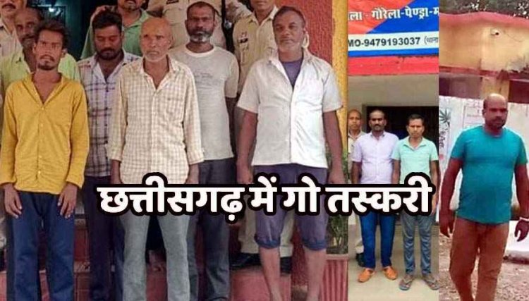 छत्तीसगढ़ में गौवंश तस्करी के खिलाफ बड़ी कार्यवाही, दो मामलों में मास्टरमाइंड समेत 10 गौ तस्कर गिरफ्तार, 29 मवेशी बरामद
