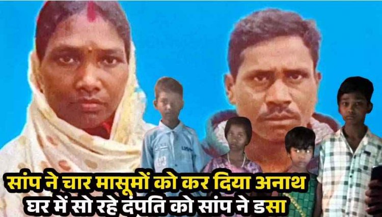 अंधविश्वास ने ली पति-पत्नी की जान, सांप काटने के बाद तुरंत अस्पताल जाना छोड़ करवाया झाड़-फूंक, 4 मासूमों के सिर से उठा मां-बाप का साया