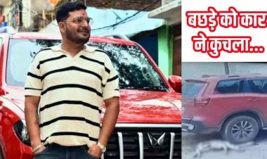 निर्दयी कार चालक की दरिंदगी, निर्दोष बछड़े को कारोबारी ने बेरहमी से कुचला, CCTV फुटेज से हुआ खुलासा, सोची-समझी अमानवीय हरकत