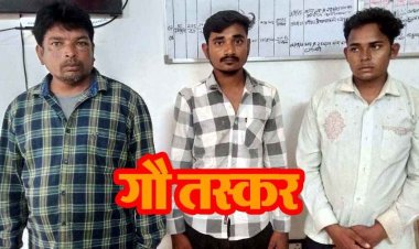 फिंगेश्वर पुलिस की बड़ी कार्रवाई, गौवंशों की तस्करी का हुआ खुलासा, 3 गौ तस्कर गिरफ्तार, 8 गौवंश और टाटा 407 वाहन जब्त
