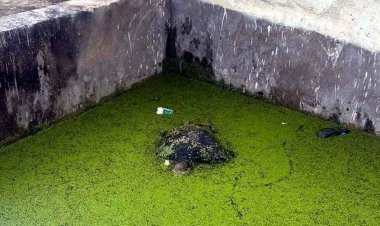 पानी से भरे टैंक में मिला दो दिन से लापता युवक का शव, मौके पर पहुंची फोरेंसिक टीम, इलाके में फैली सनसनी, जांच में जुटी पुलिस