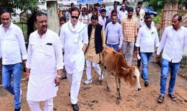 रायपुर के समोदा गौठान में 18 गायों की मौत, पहुंचा जांच दल, विकास उपाध्याय- गोवंश के शव चील-कौवे नोच रहे, भाजपा सरकार में गोवंश सुरक्षित नहीं