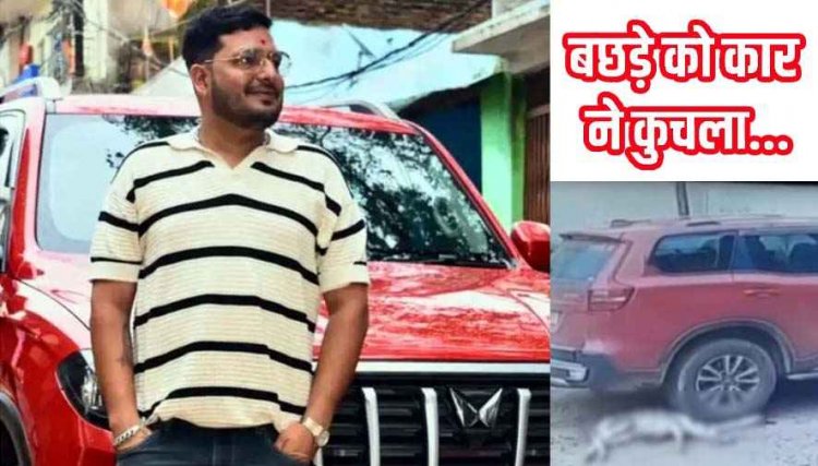 निर्दयी कार चालक की दरिंदगी, निर्दोष बछड़े को कारोबारी ने बेरहमी से कुचला, CCTV फुटेज से हुआ खुलासा, सोची-समझी अमानवीय हरकत
