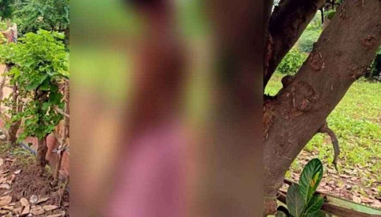 कटहल के पेड़ पर लटकती मिली अधेड़ की लाश, इलाके में सनसनी, गांव में शोक और दहशत का माहौल, जांच में जुटी पुलिस