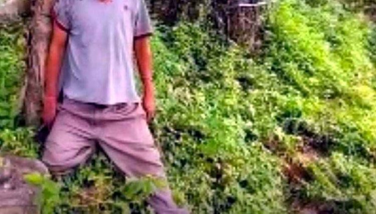 बैरियर चौक मुक्तिधाम के पास पेड़ पर लटकी मिली ऑटो चालक की लाश, हत्या की आशंका, पुलिस कर रही मामले की जांच